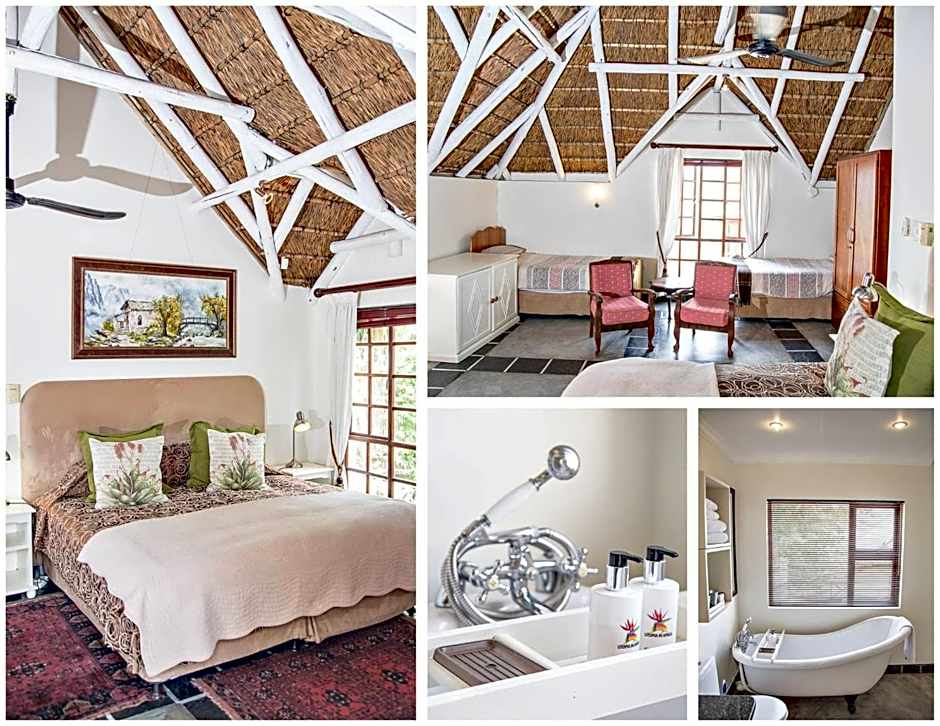 Utopia in Africa Guest Villa