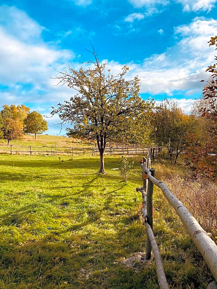 Koziula - Domki i Leśne SPA na Kaszubach