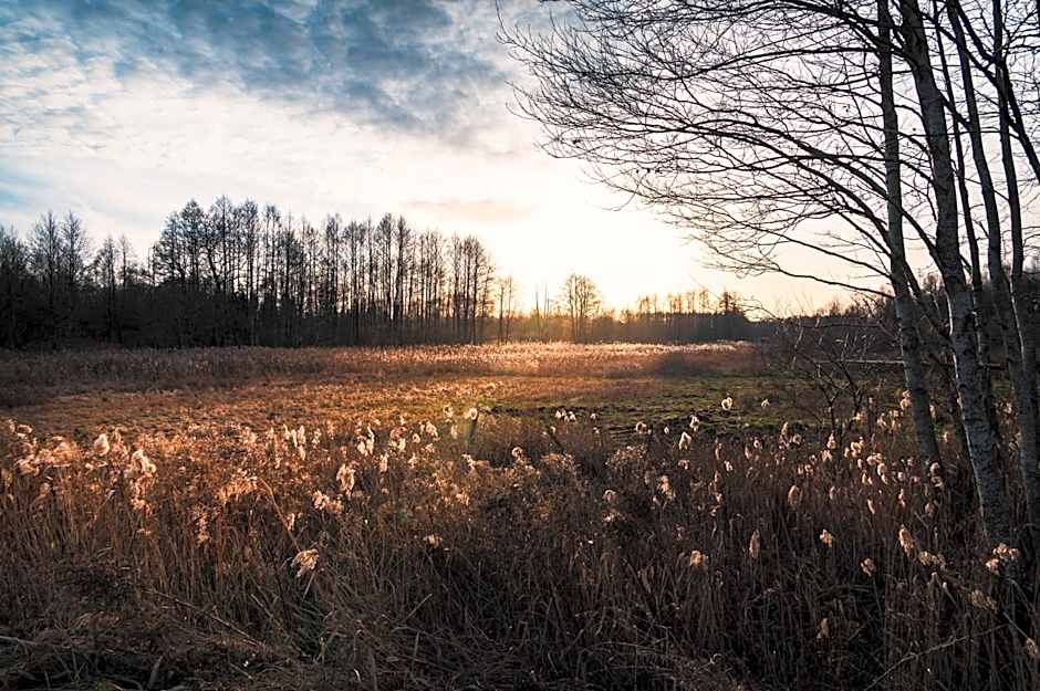 Agroturystyka w zielonym spichlerzu, Puszcza Białowieska