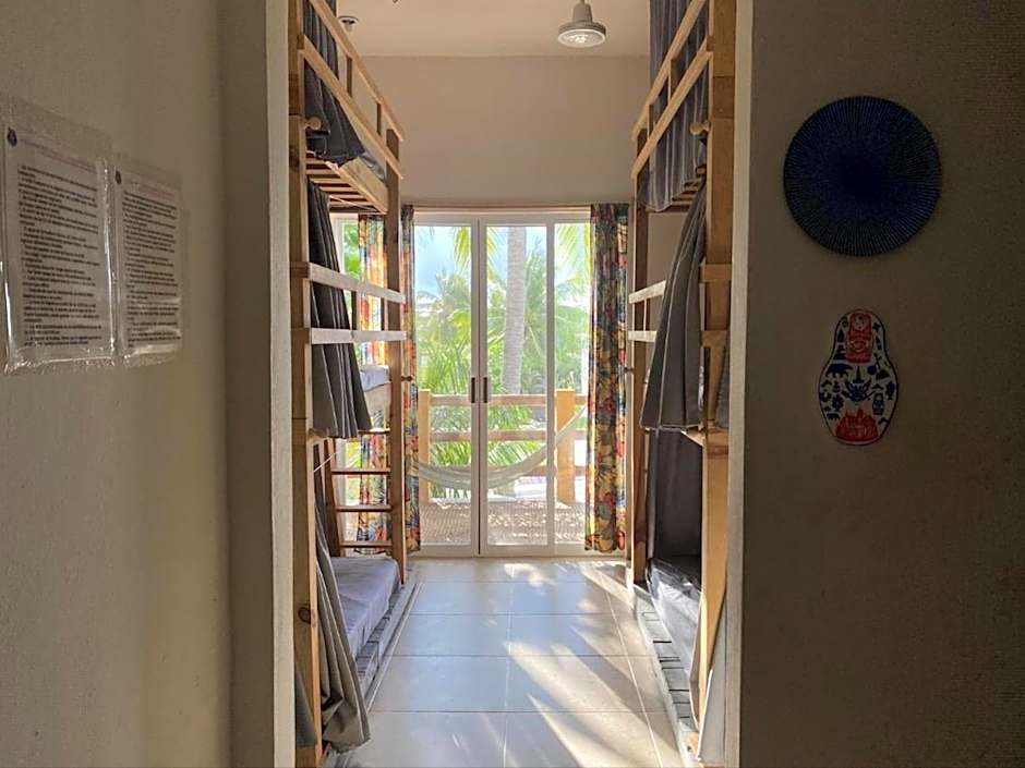 La Palmera Hostel