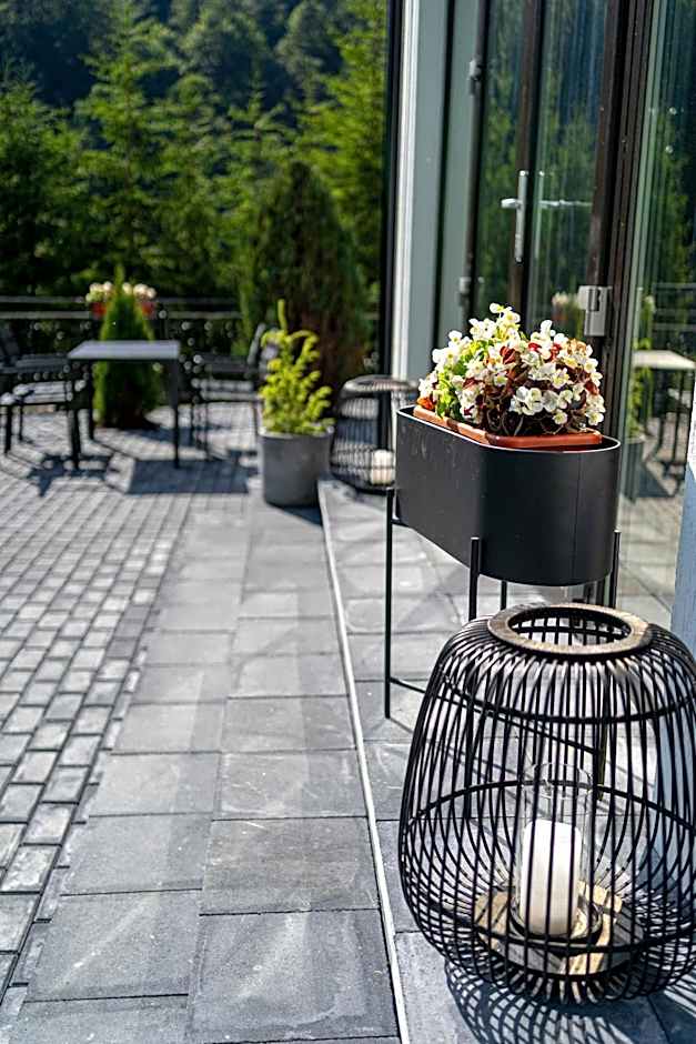 Piscul Negru Hotel - Transfagarasan