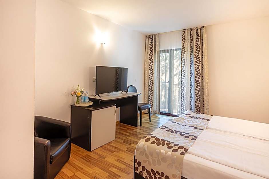 Hotel Anina