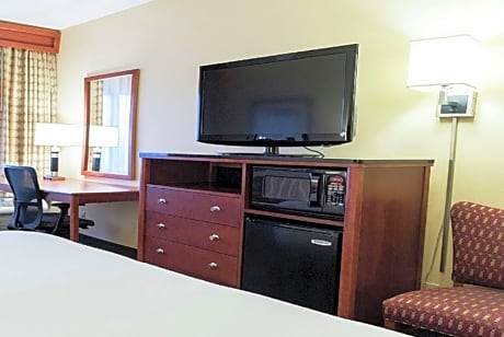 INTERIOR, KING BED, BALCONY Room Only