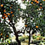 B&b l'Orangerie D'epoque