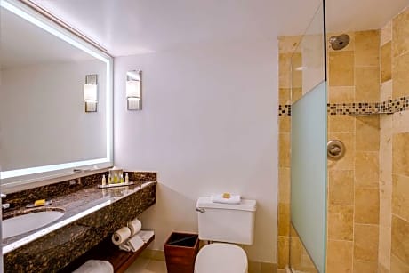 1 King Bed 2 Room Suite-Sofabed-Living Room