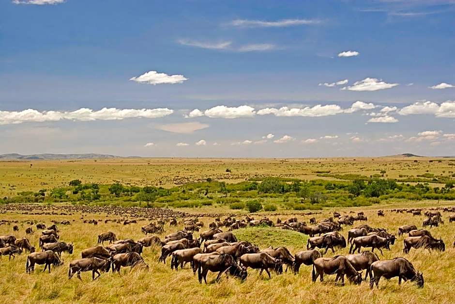 Mara Intrepids Tented Camp
