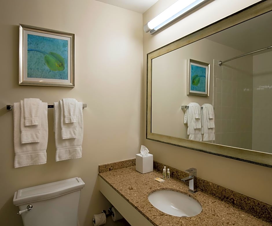 Holiday Inn Sarasota-Lido Beach at the Beach, an IHG Hotel