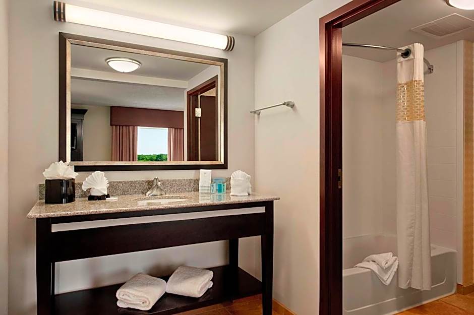 Hampton Inn By Hilton And Suites Detroit/Airport-Romulus