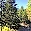 Slide Mountain Forest House