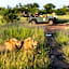 Kambaku Safari Lodge