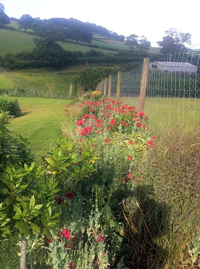 East Dunster Deer Farm B&B