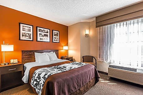 Queen Room - Accessible/Non-Smoking
