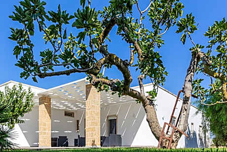 Paloma B&B