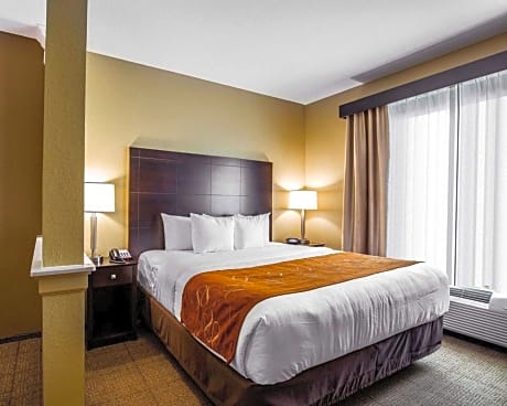 King Suite with Sofa Bed