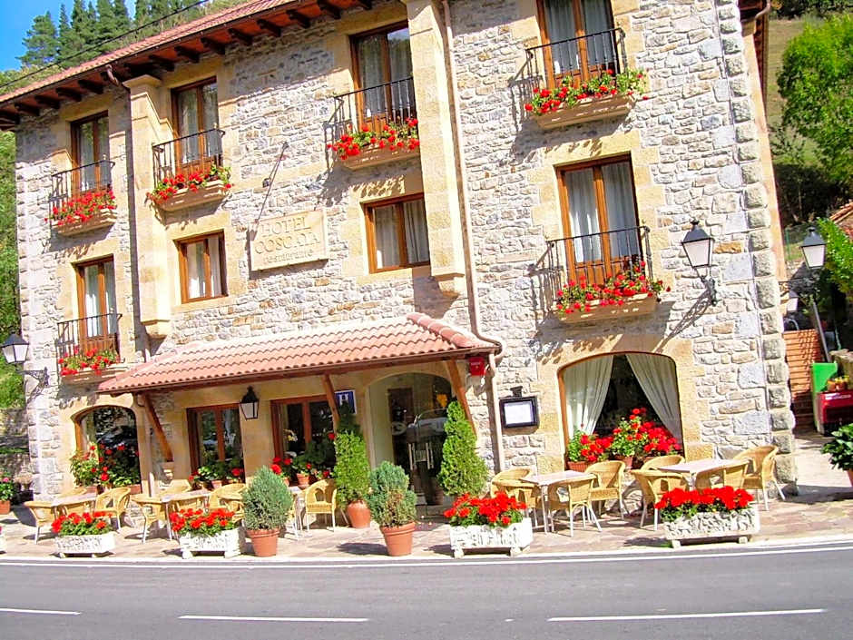 Hotel Cosgaya