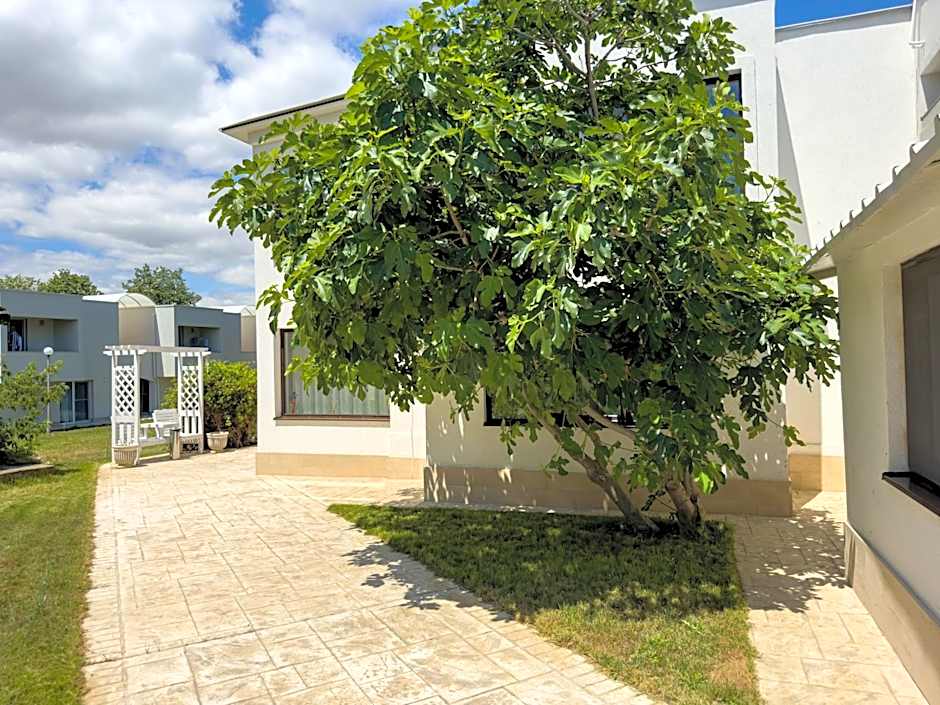 Avenue Venus - Avenue Hotels