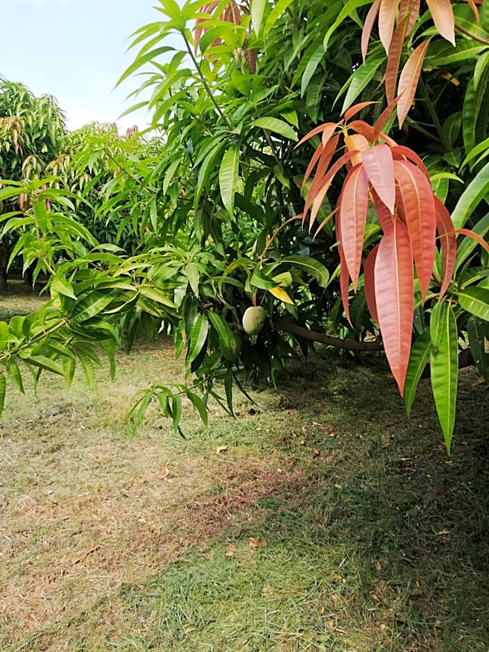Turismo Rurale Al Benefizio