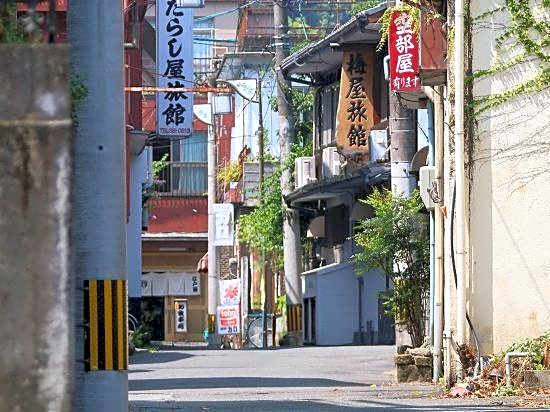 Yanagiya Ryokan