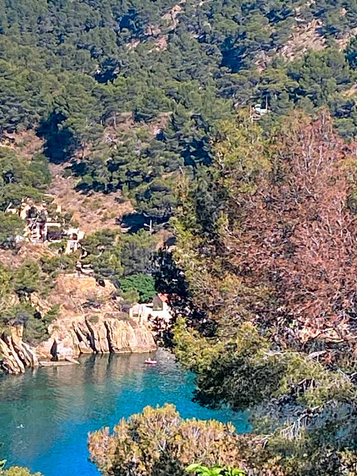 Les terrasses des Anthenors