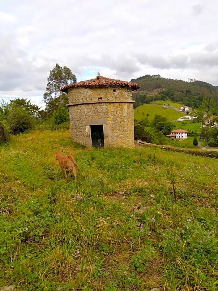 La Figal de Xugabolos, Salas