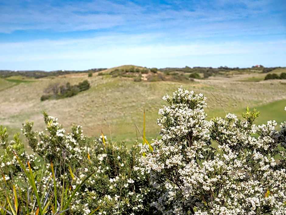 Links Lodge at The Dunes