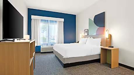 1 King Bed Mobility Accessible With Bathtub