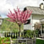 Adora Luxury Hotel