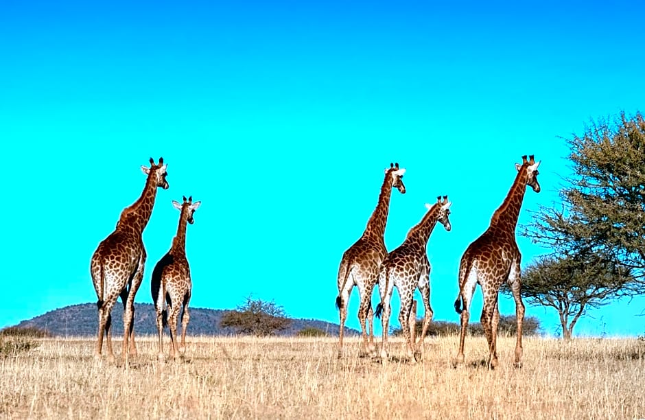 Zebula Golf Estate & Spa Executive Holiday Homes