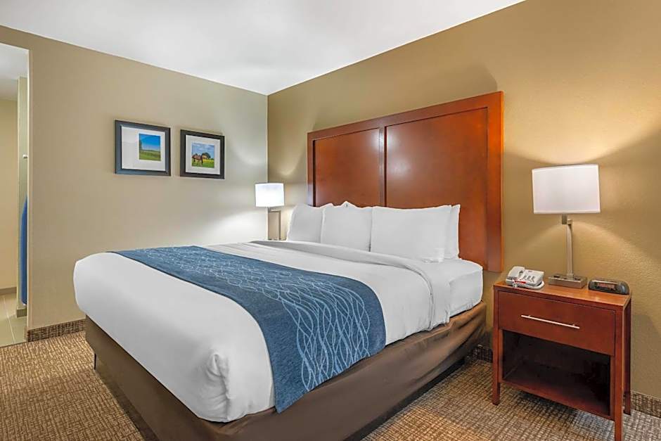 Comfort Inn Ocala Silver Springs