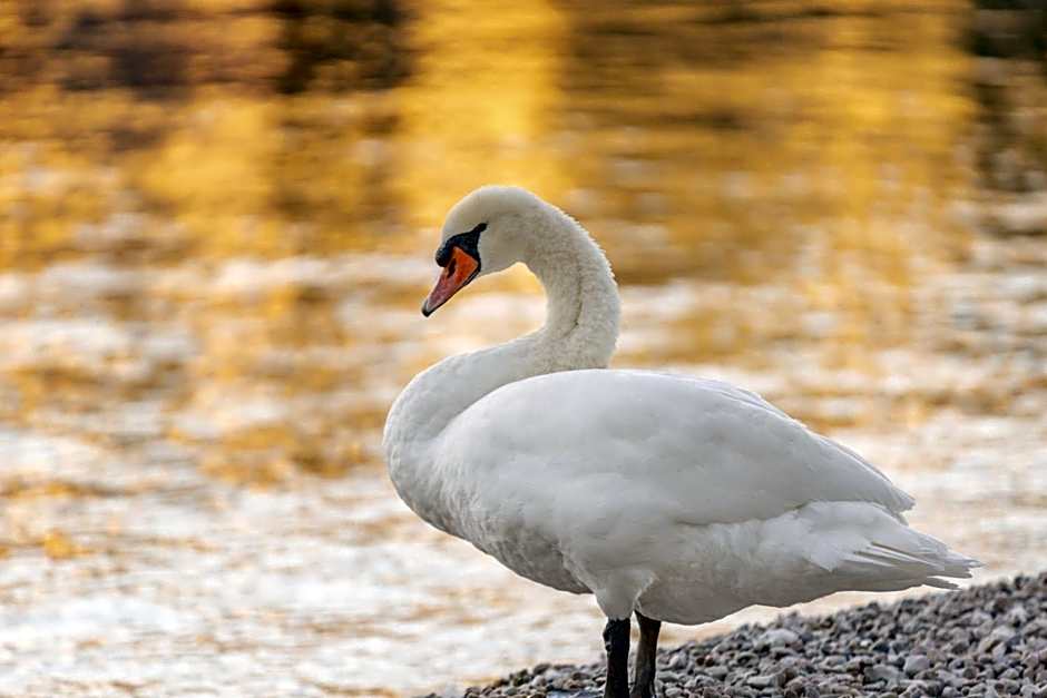 Hotel Val Di Sogno - Adults Only