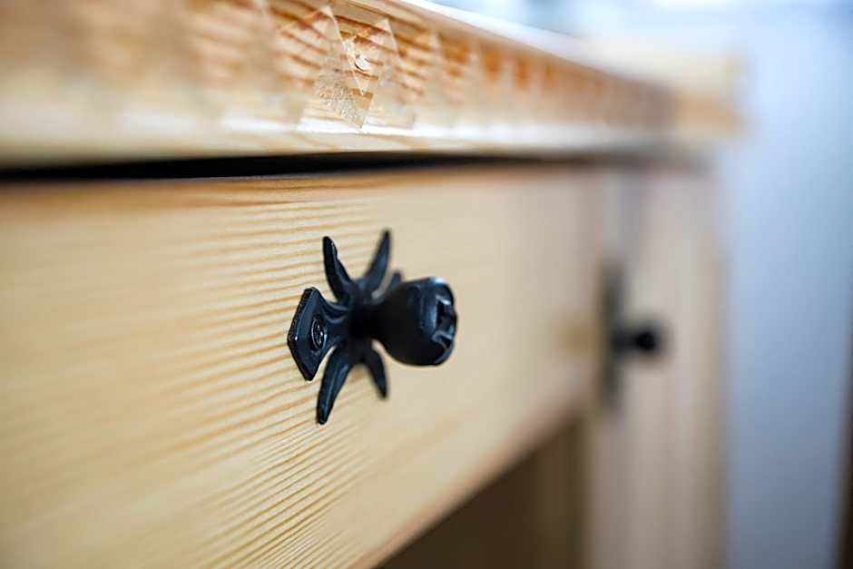 Tatrzańskie Spanie pokoje gościnne