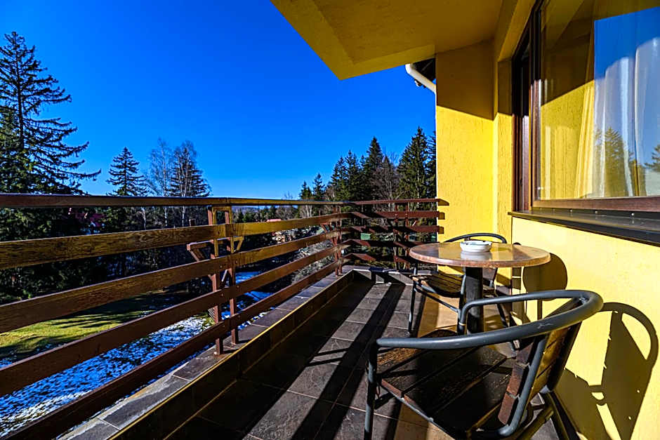 Hotel Casa Viorel jacuzzi & saunas