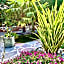 B&B Desenzano Paradise