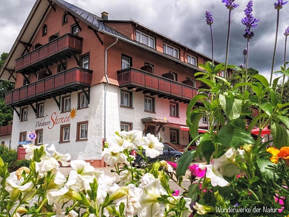 Wochner's Hotel-Sternen Am Schluchsee Hochschwarzwald