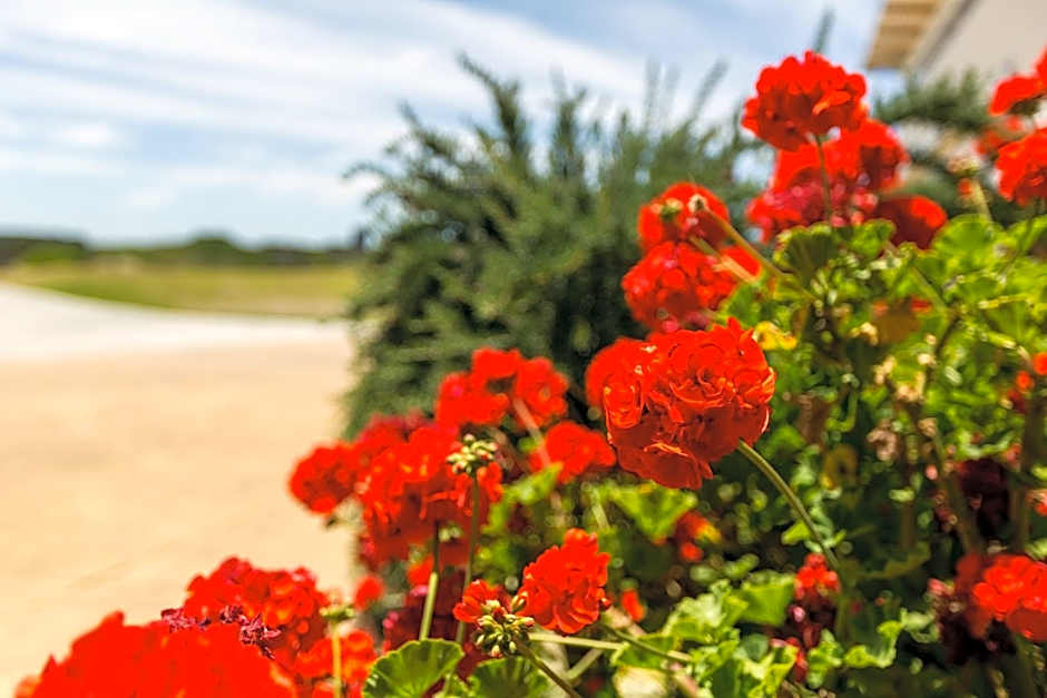 Wytonia Beachfront Accommodation