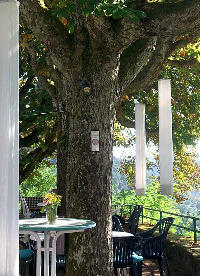 Hotel-Restaurant Burg-Ramstein