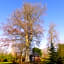 Chambre E André Le Domaine Des Jardins De Bracquetuit