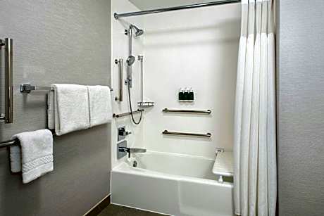 Suite, 1 Bedroom (Mobility/Hearing Accessible, Tub) (1 King Bed and 1 Double Sofa Bed)