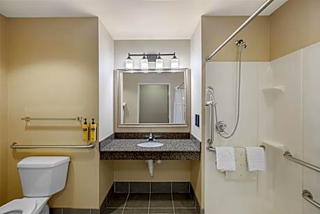 Suite-2 Queen Beds, Mobility Accessible, Communication Assistance, Roll In Shower, Sofabed, Non-Smok