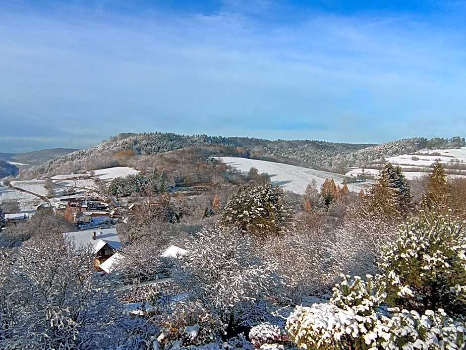 Domki i apartamenty nad jeziorem solińskim z basenem I widokiem na góry