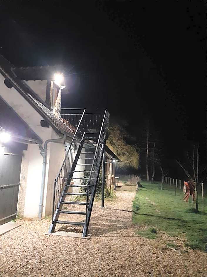 Oh ! Fleurs des champs