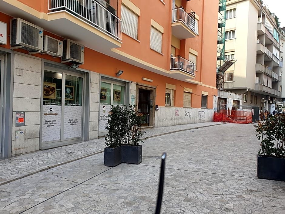 B&B SPLENDIDAE MUNDI