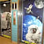 SpringHill Suites by Marriott Houston NASA/Webster