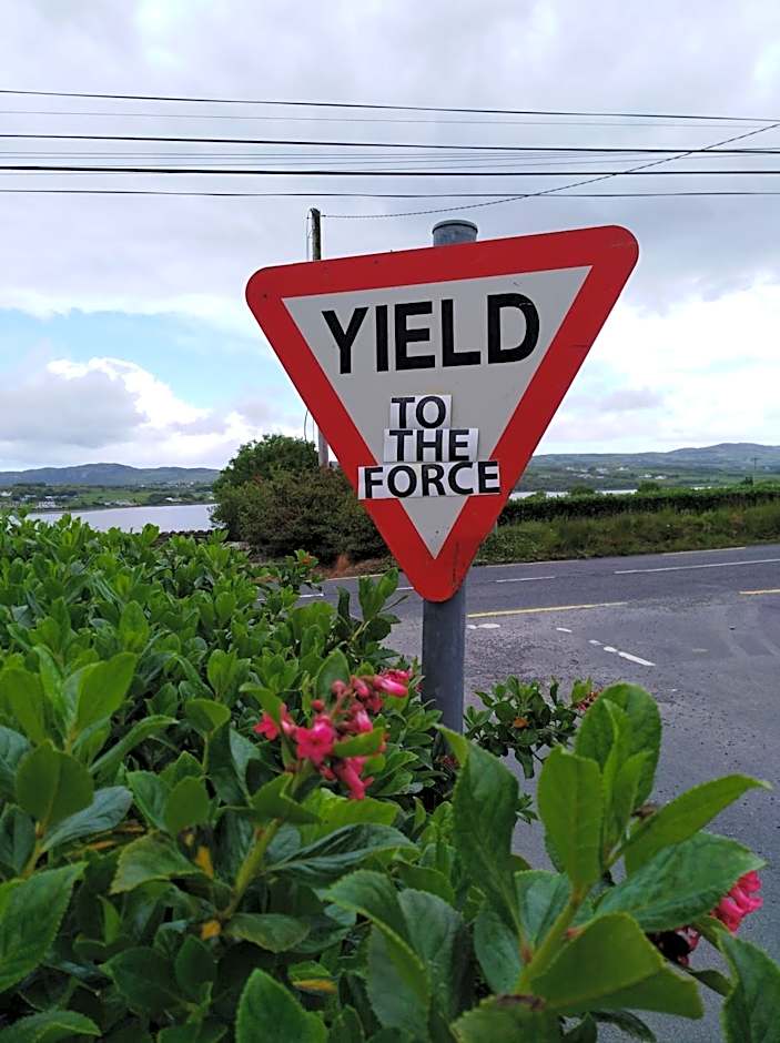 Madra Rua Organic Accommodation