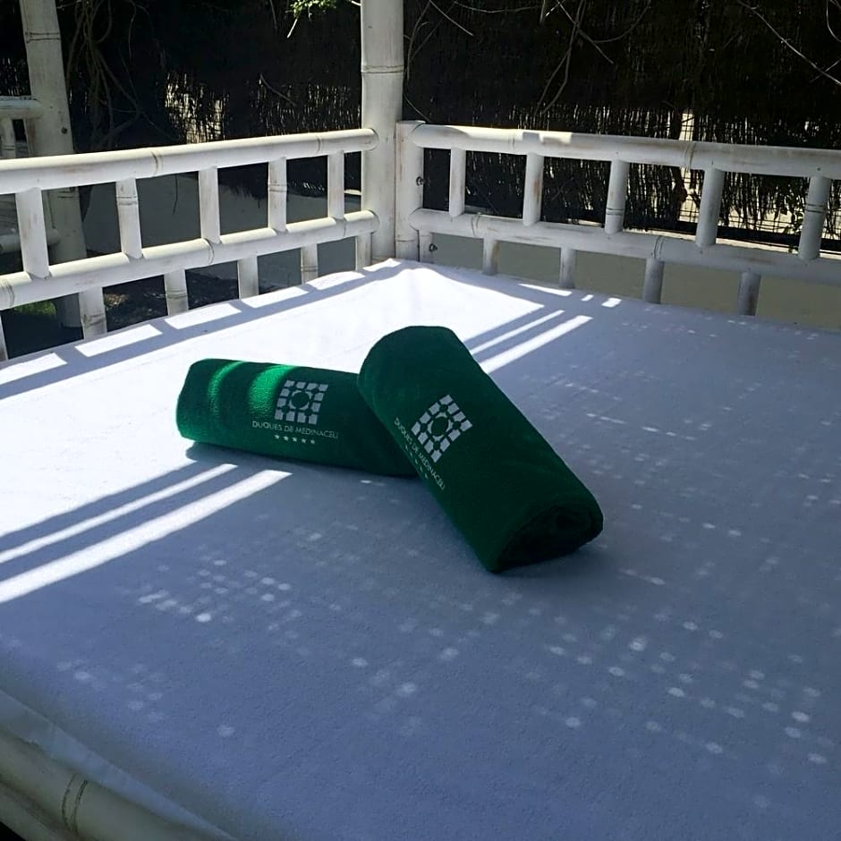 Duques de Medinaceli