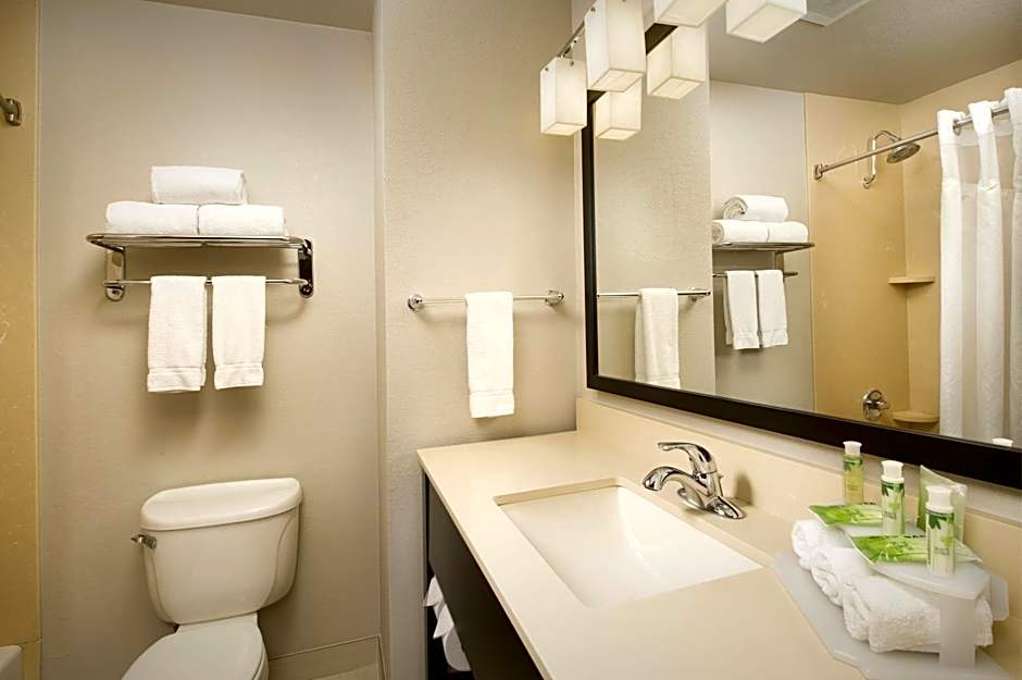 Holiday Inn Express & Suites DFW Airport - Grapevine By IHG