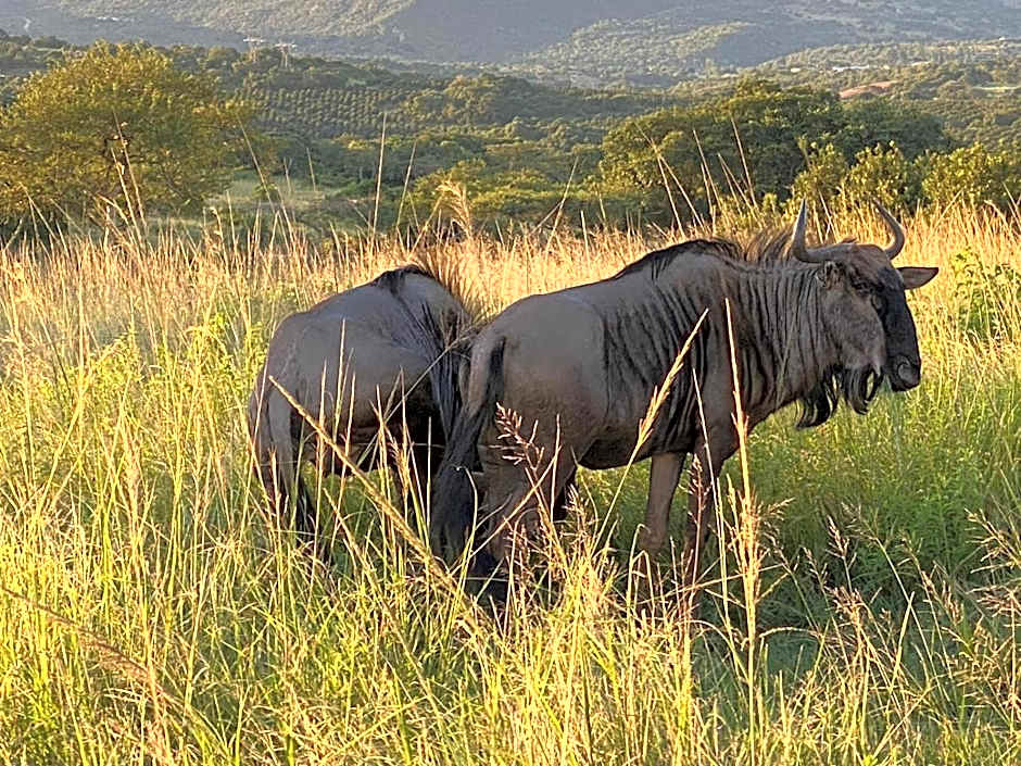 Ndhula Luxury Tented Lodge
