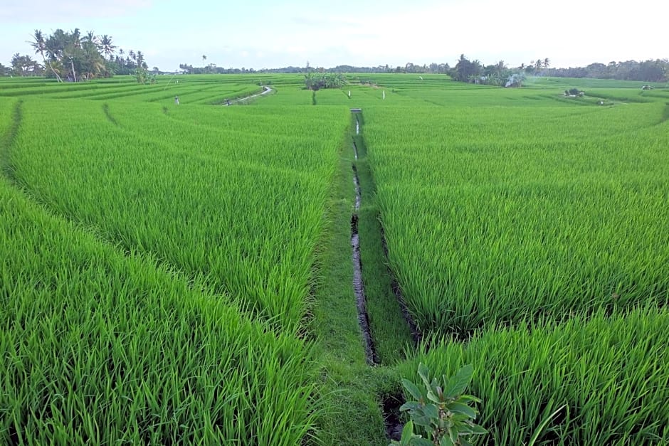 Villa Pilou – Tanah Lot, WY
