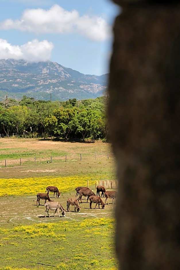 Domaine Pozzo di Mastri hôtel & spa
