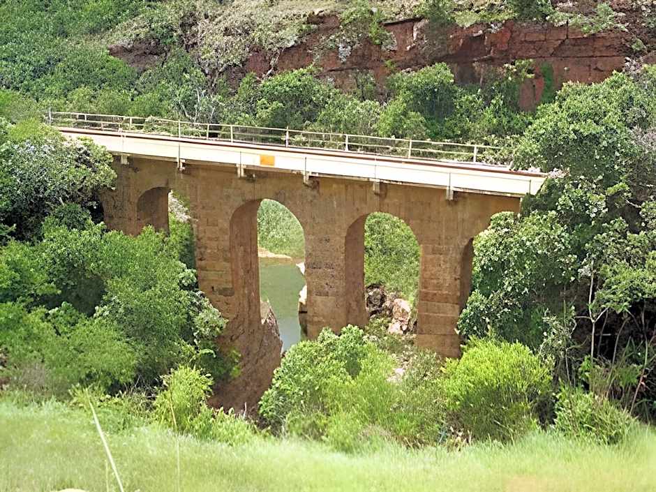 Shamrock Arms Guest Lodge